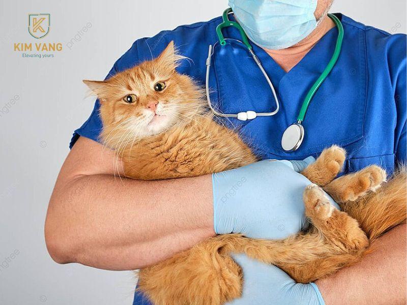 Các loại đồng phục thú y