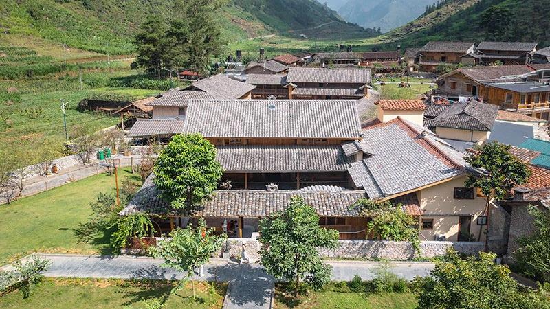 Xu hướng đồng phục thú y